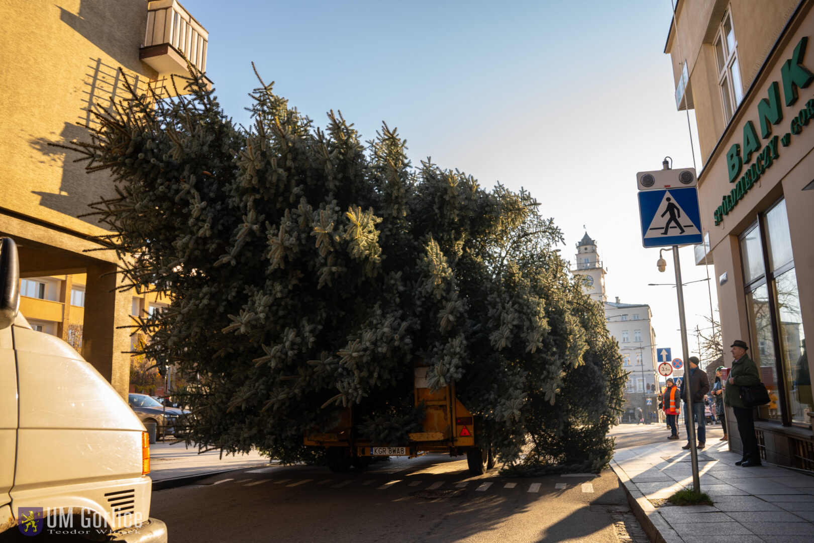 Gorlice choinka