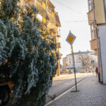 Gorlice choinka