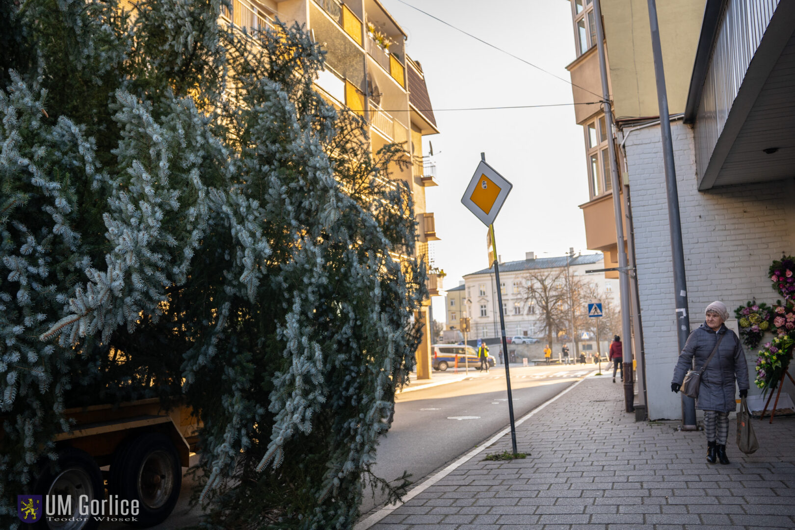 Gorlice choinka