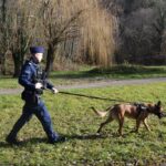 policja, Sądecczyzna, Bankomat 2024