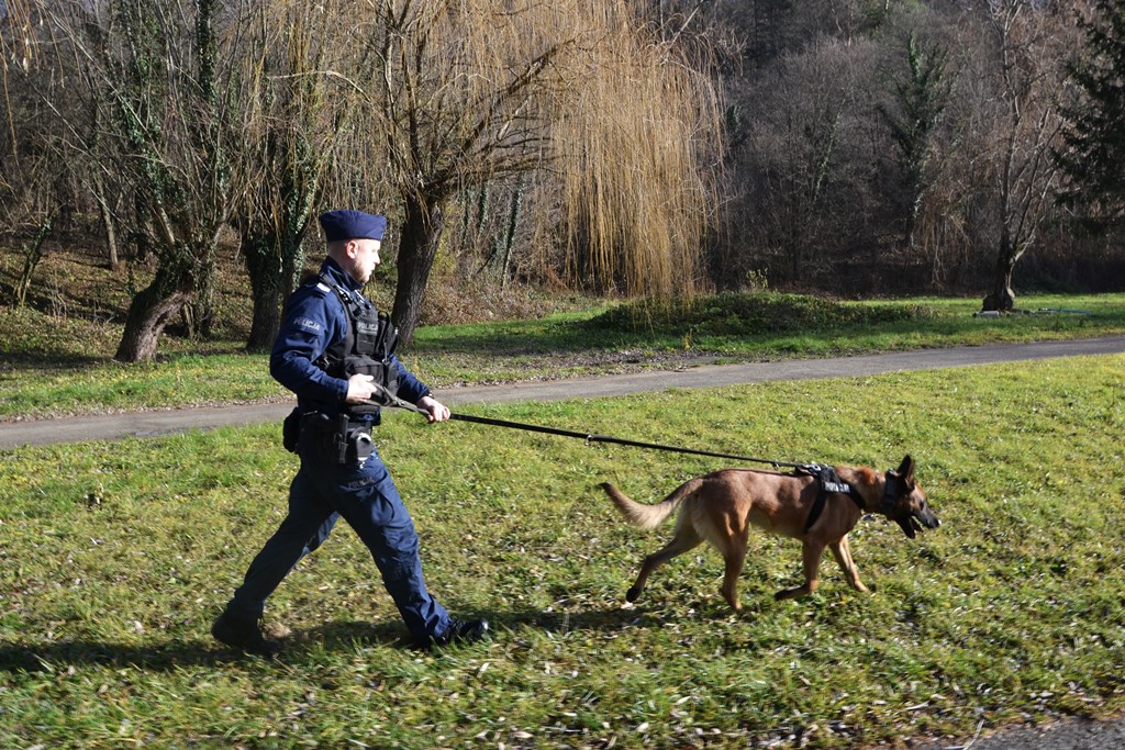 policja, Sądecczyzna, Bankomat 2024