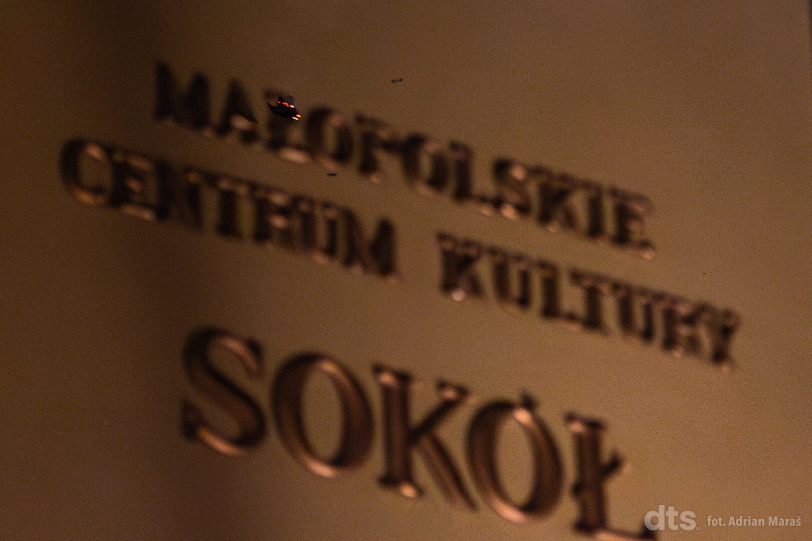 Nowy Sącz, Sokół, Alarm ekologiczny. Hommage à Hasior