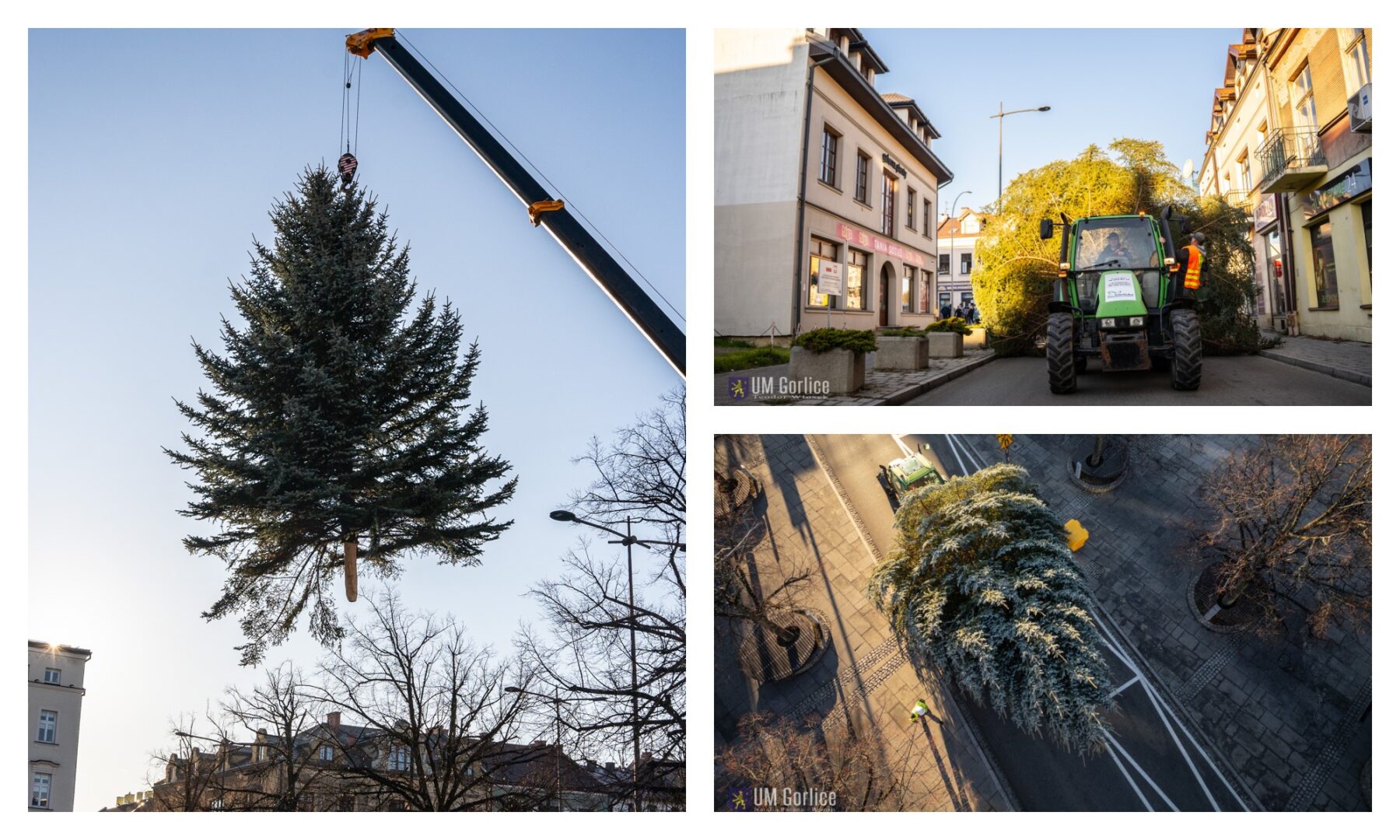 Gorlice choinka