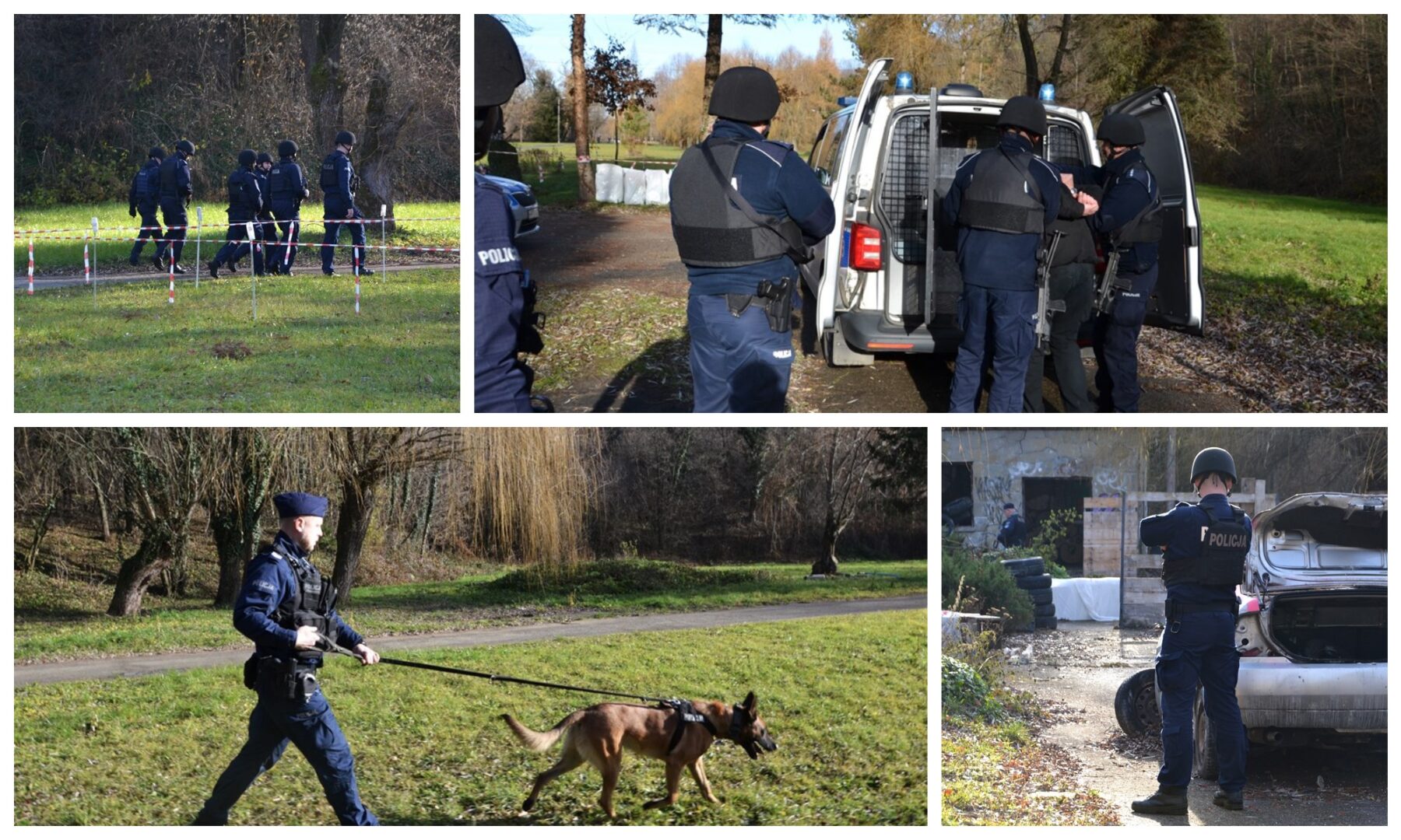 policja