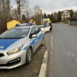 Siołkowa, samochód uderzył w ogrodzenie