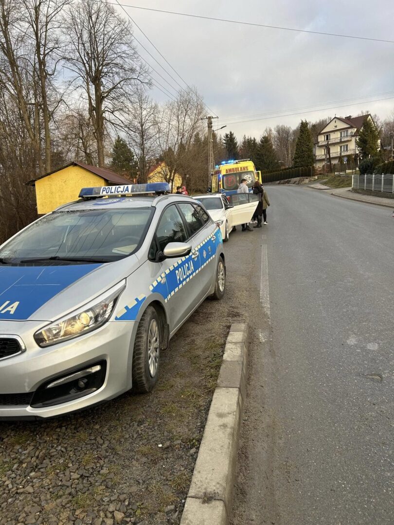 Siołkowa, samochód uderzył w ogrodzenie