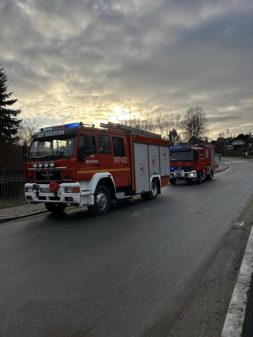 Siołkowa, samochód uderzył w ogrodzenie