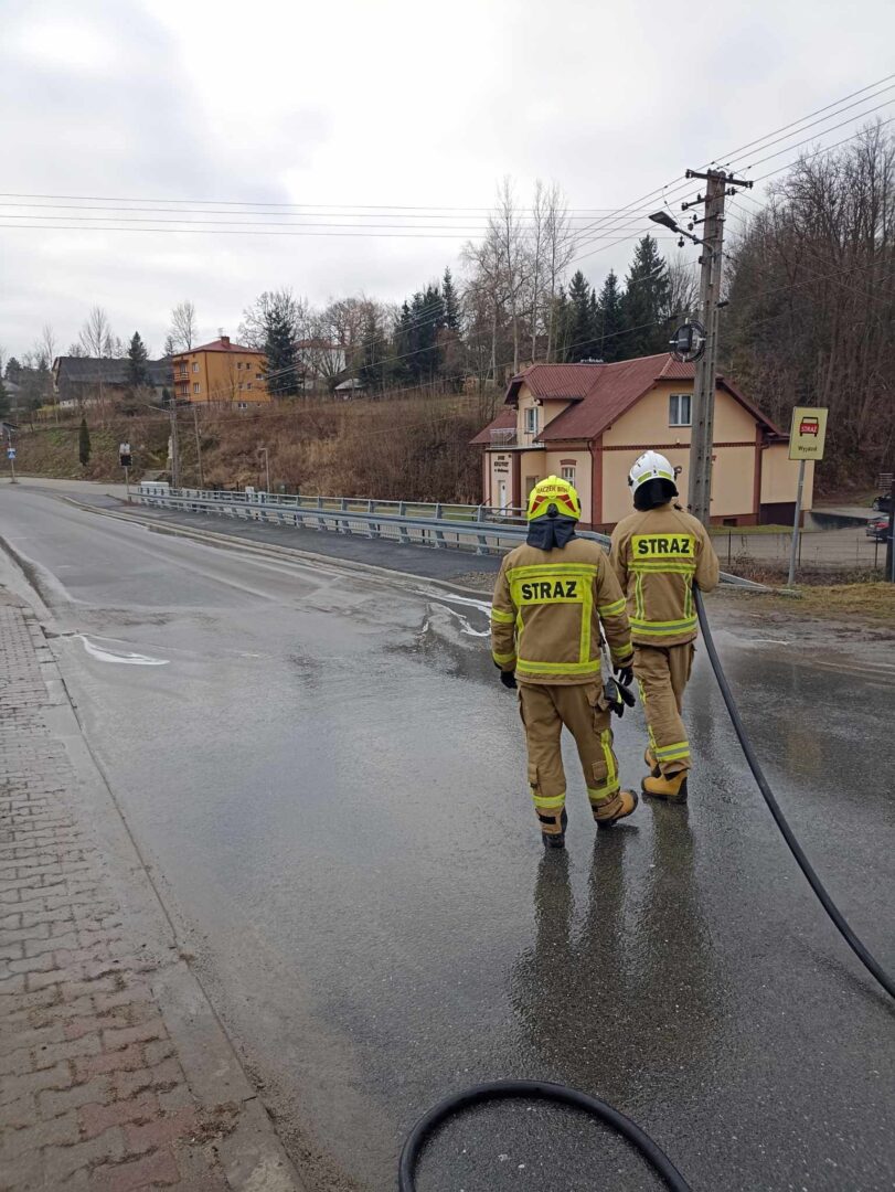 Siołkowa, samochód uderzył w ogrodzenie