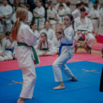 Ogólnopolski Turniej Mikołajkowy w Karate Tradycyjnym