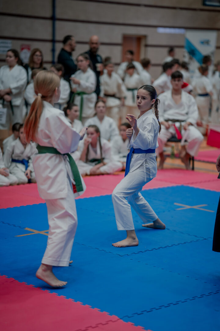 Ogólnopolski Turniej Mikołajkowy w Karate Tradycyjnym