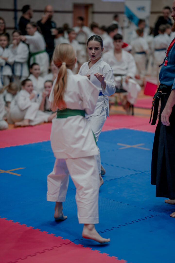 Ogólnopolski Turniej Mikołajkowy w Karate Tradycyjnym