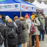 Nowy Sącz, drzewko za baterie