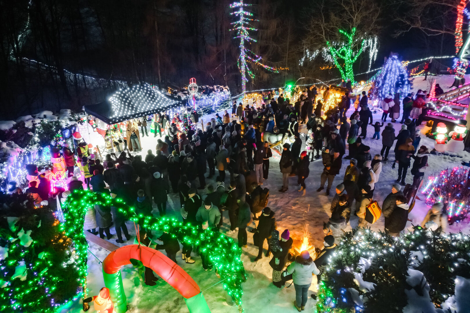 Szopka w Ptaszkowej, koncert charytatywny, Oliwka Gajda