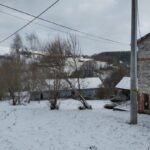 pożar sadzy Korzenna
