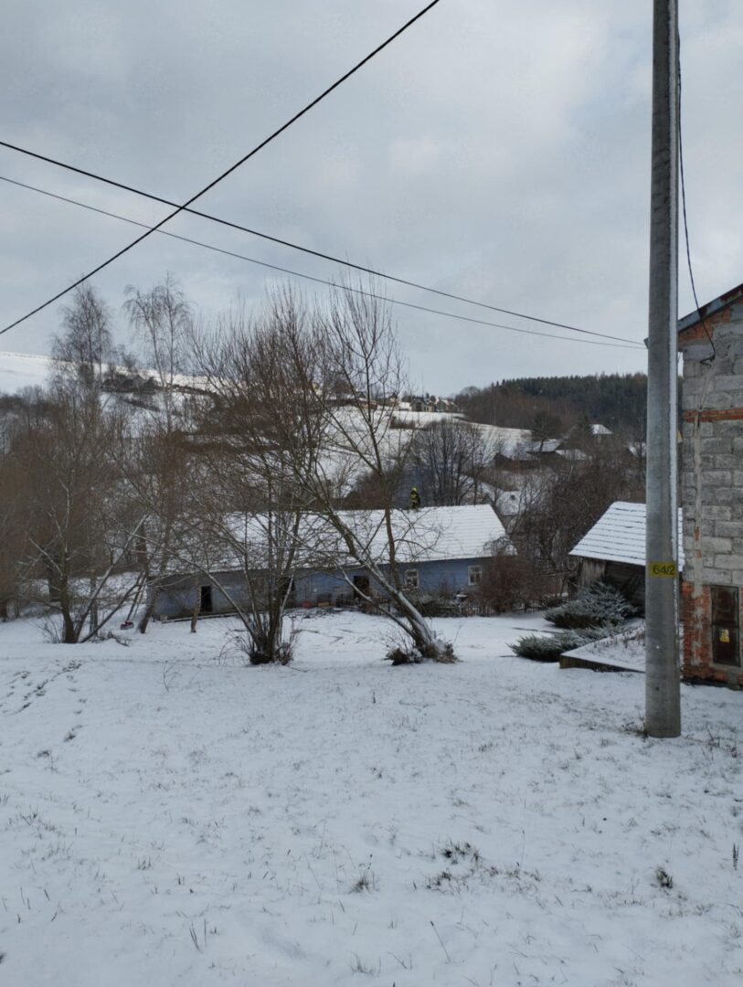 pożar sadzy Korzenna