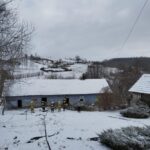 pożar sadzy Korzenna