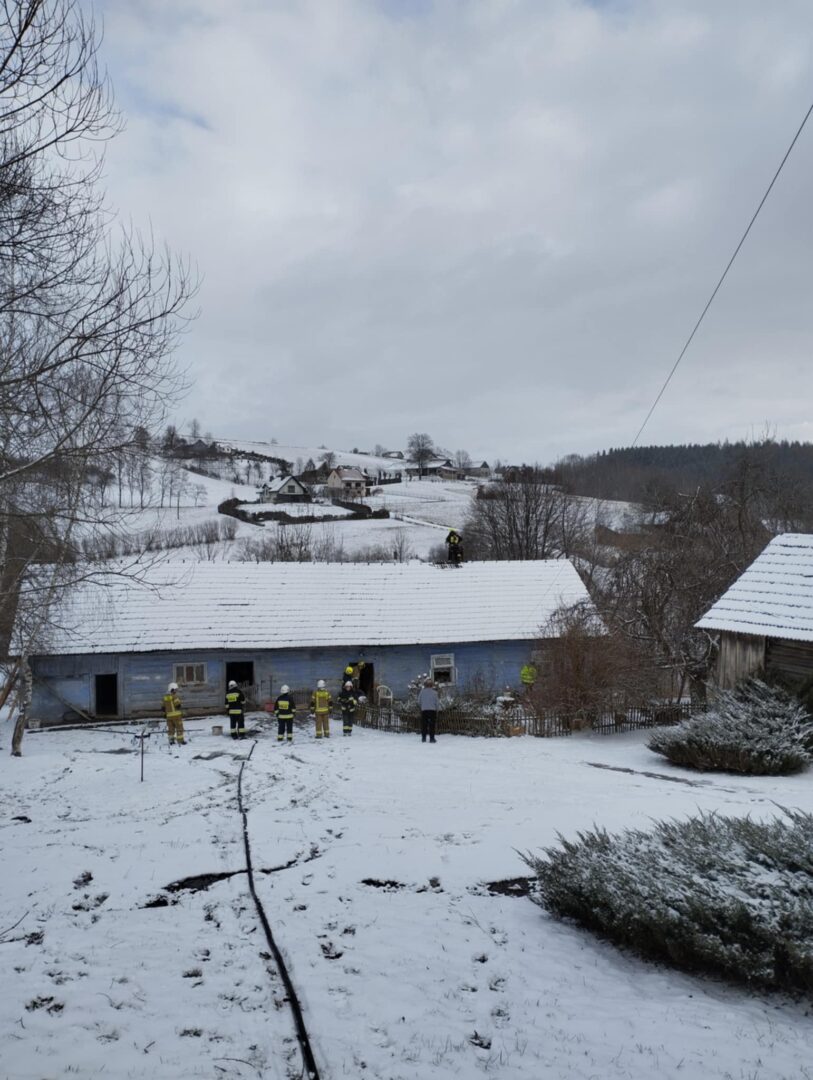 pożar sadzy Korzenna