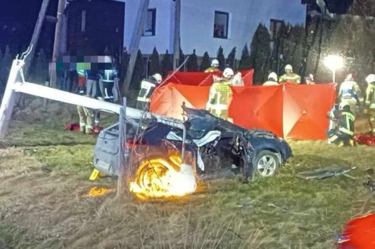 Śmiertelny wypadek na DK28. Mężczyzna przygnieciony przez słup energetyczny