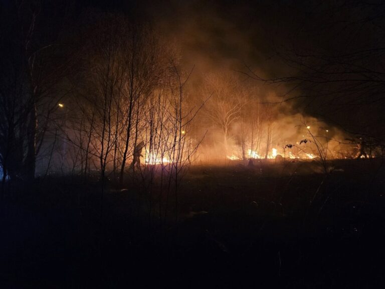 Kolejny raz płoną trawy nieopodal Nowego Sącza [ZDJĘCIA]