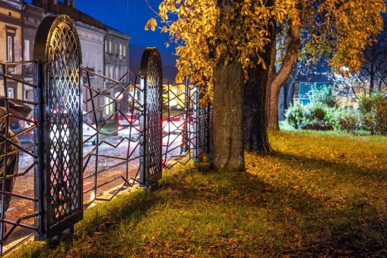 Na to miejsce pochówku przez lata wyprowadzano psy [FILM]