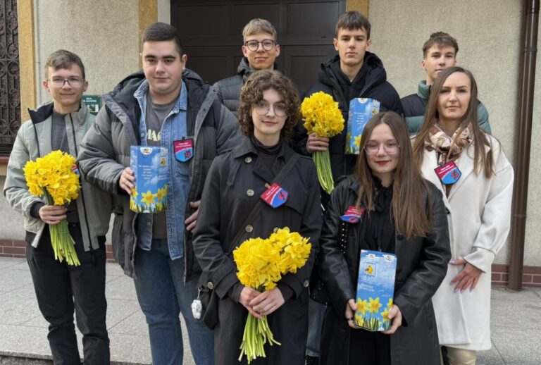 Zakwitły ,,Pola Nadziei”. Dobroczynność nagradzana żonkilami