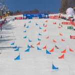Krynica-Zdrój, VISA FIS Puchar Świata w snowboardzie alpejskim