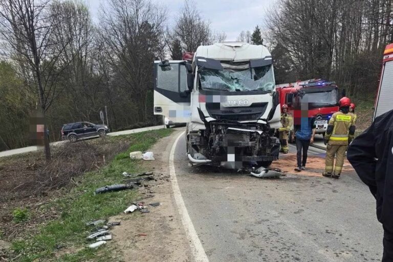 Działania w Rdziostowie. Zderzenie dwóch samochodów ciężarowych
