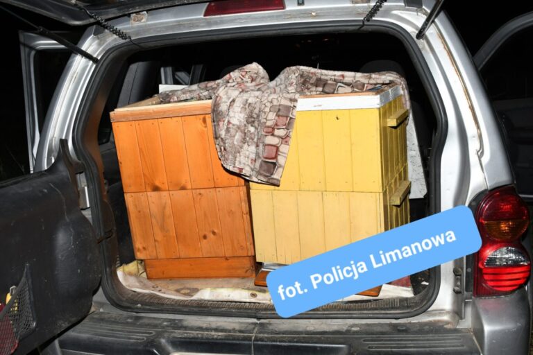 Dwójka mężczyzn próbowała ukraść ule. Zostali złapani na ,,gorącym uczynku”