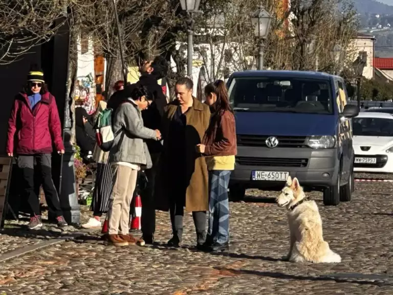Już niedługo w kinach zobaczymy kolejną część przygód psa, który jeździł…sądecką koleją
