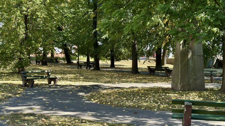 Nowy Sącz. Park kolejowy może zmienić właściciela [FILM]