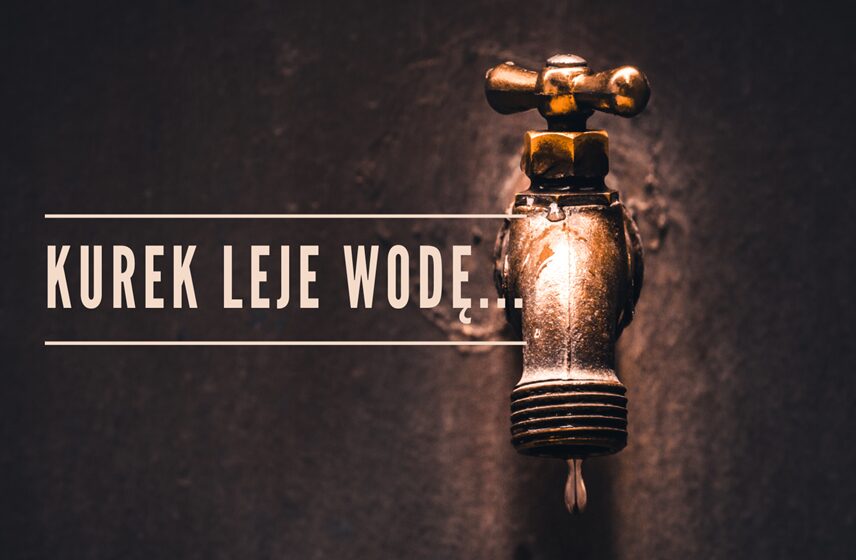 Kurek leje wodę
