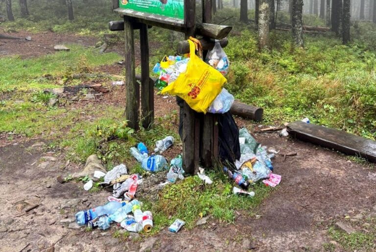„Co z Was za turyści?” Śmieci kaleczą Radziejową