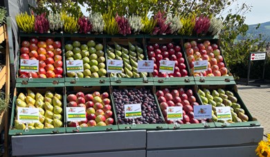 Spółdzielnia Ogrodnicza Ziemi Sądeckie na Agropromocji w Starym Sączu /FOTOGALERIA/