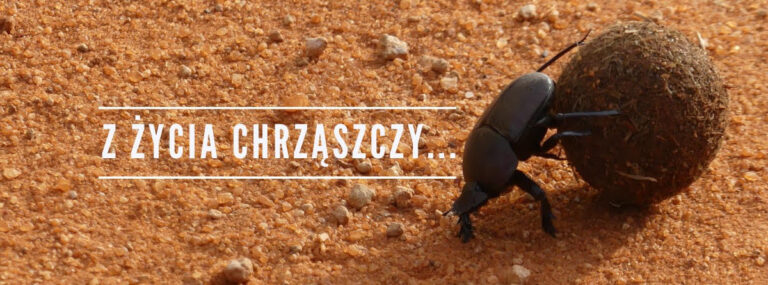 CZY PANI WIE KIM JA JESTEM? Czyli radny po godzinach… w sklepie…