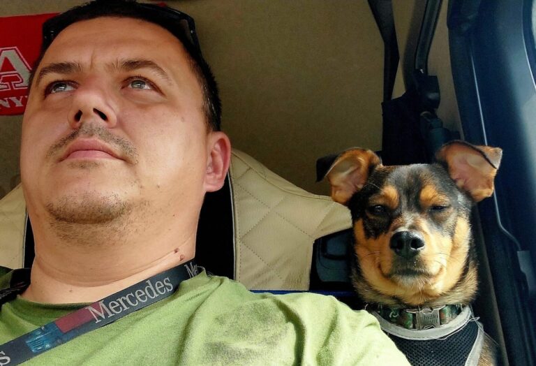 Karmel, pies, który jeździ tirem