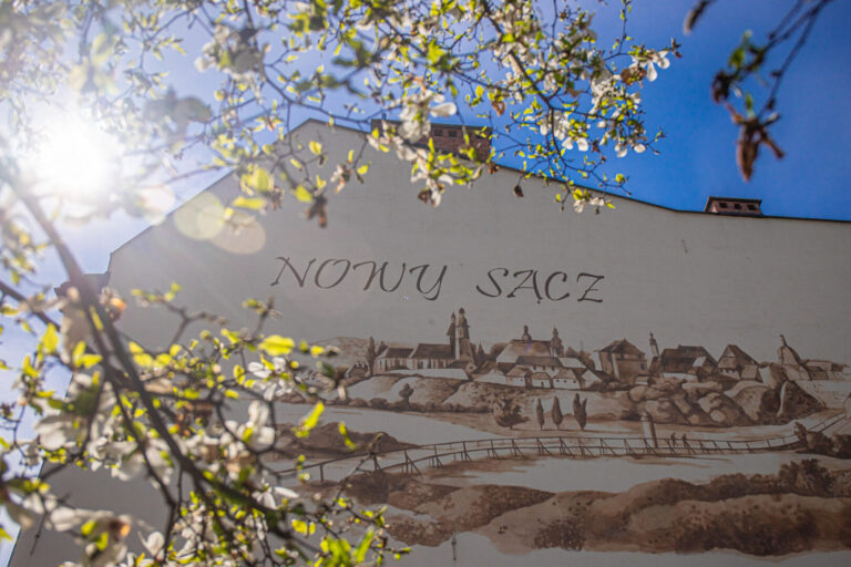 Nowy Sącz. Te projekty zwyciężyły w Budżecie Obywatelskim