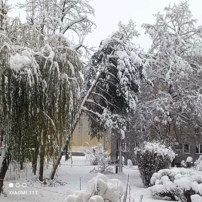 Połamane gałęzie, nadmiar śniegu. Mieszkańcy szukają pomocy