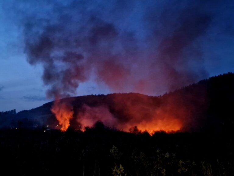 Jeden dzień, dwa pożary. Wypalanie śmieci na osiedlu romskim [FOTO]