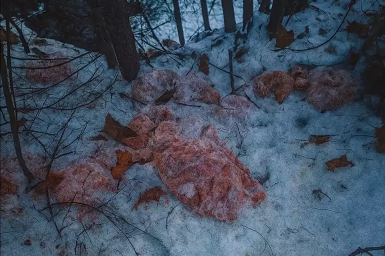 Szczawnica. Znaleziono osobę odpowiedzialną za wrzucenie mięsa do potoku
