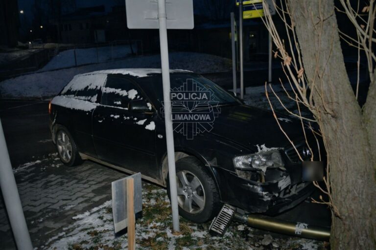 ,,Pożyczyli” Audi i rozbili je na latarni