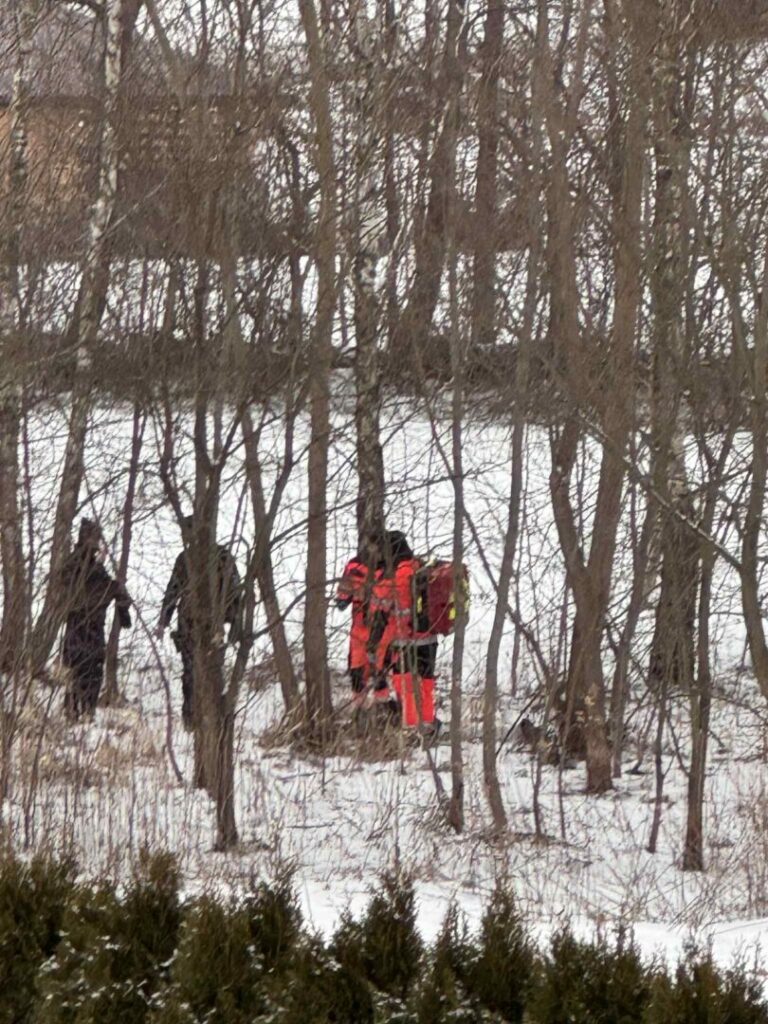 Zwłoki mężczyzny w nowosądeckim lasku. Służby na miejscu