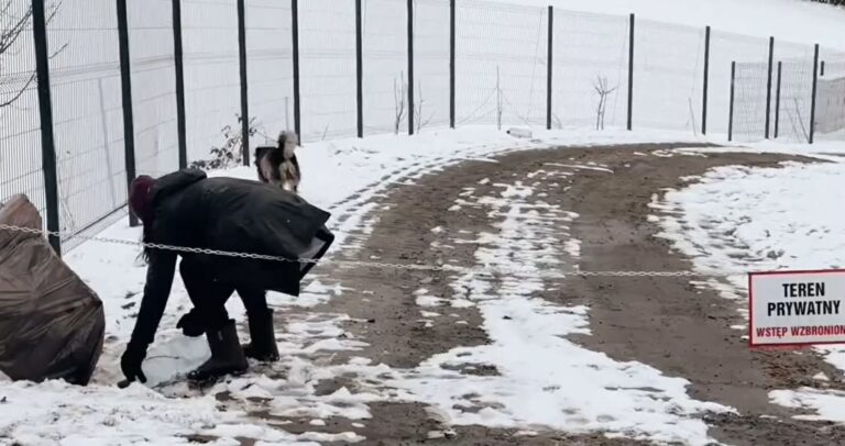 ,,Konie muszą się wyprowadzić z domu, który znają”. Interwencja DTS24 [FILM]