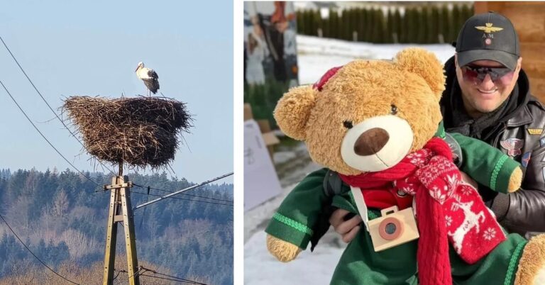 Tak minął tydzień w Nowym Sączu i w regionie