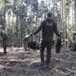 Forest workers planting saplings in a sunlit woods, central person holding two saplings with roots, others digging and preparing soil in camouflage gear and outdoor jackets