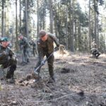 Soldiers in camouflage dig in a forest clearing during a training exercise.