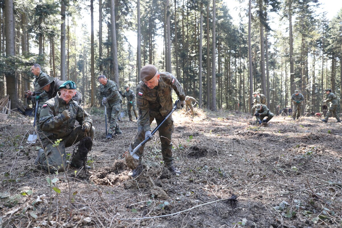Soldiers in camouflage dig in a forest clearing during a training exercise.