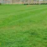 Green grassy field with a white goal frame and a row of tires along the fence in the background (soccer practice area).
