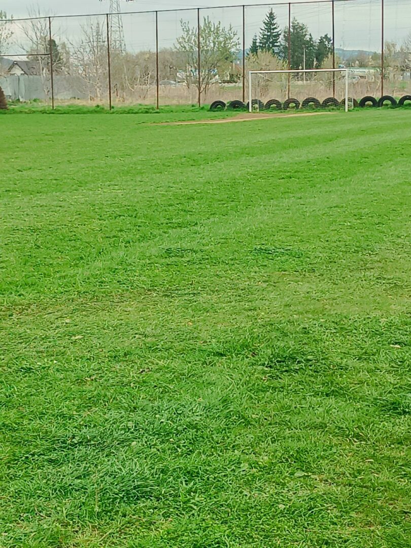 Green grassy field with a white goal frame and a row of tires along the fence in the background (soccer practice area).