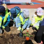 Group of children in neon vests planting a small potted plant in soil with shovels nearby.