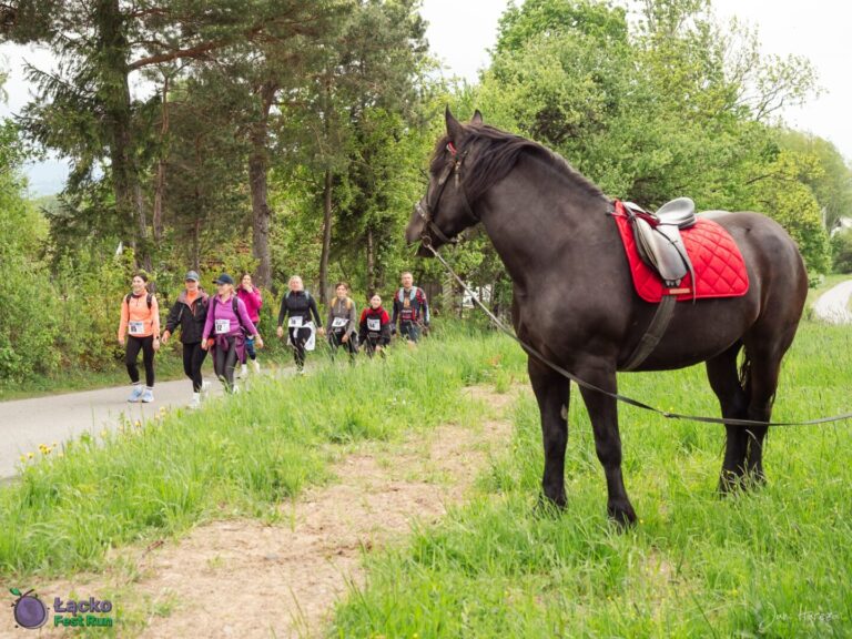 Łącko Fest 2026: ponad tysiąc uczestników pobiegnie przez wiosenne, kwitnące sady